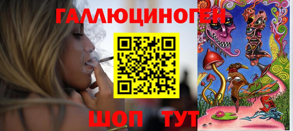 Артёмовский  Псилоцибиновые грибы Cubensis  Вход с VPN  Галлюциногенные грибы Psilocybe 